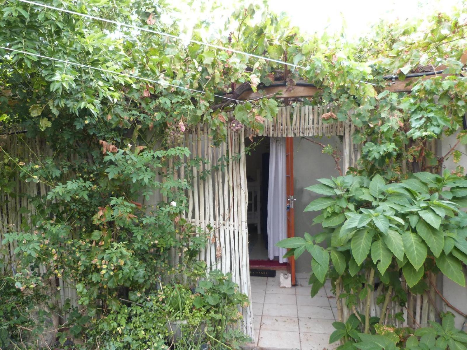 Apartamento Hannah'S Haven Studio Deluxe - No Loadshedding Beaufort West Exterior foto